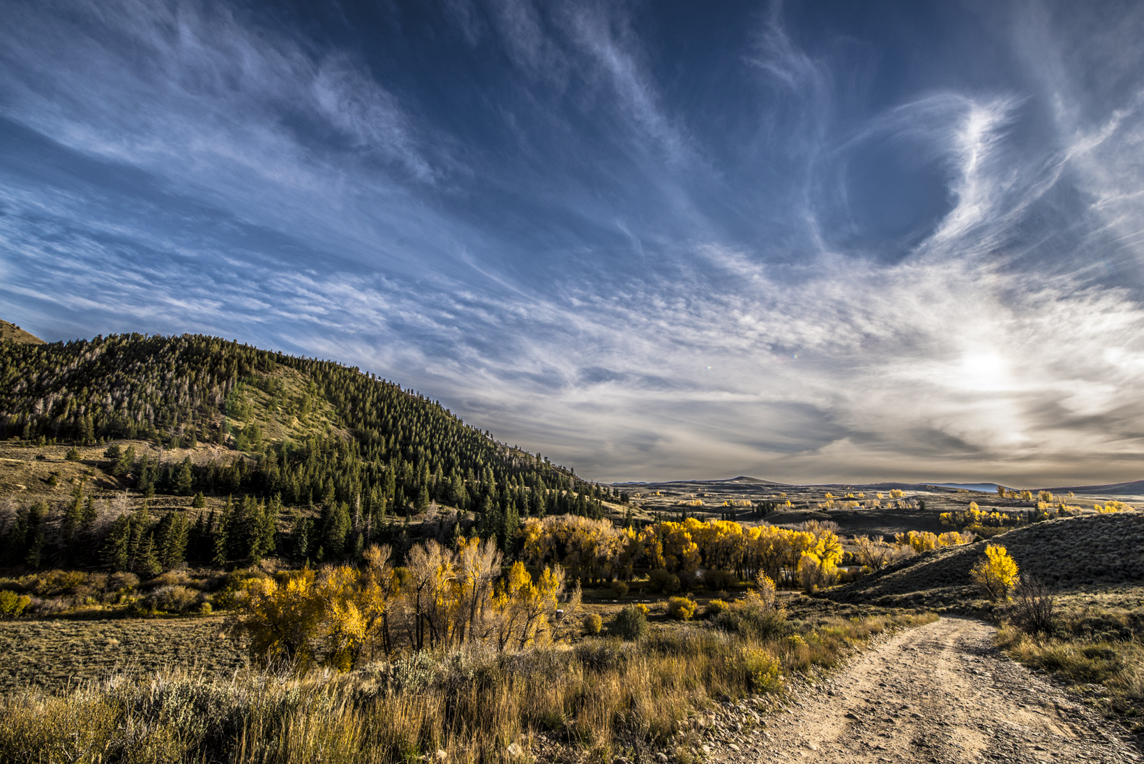 _DSC0536